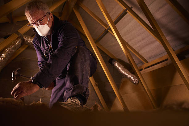 Best DIY Insulation Kits and Guidance in Hagerstown, IN